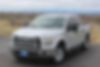 1FTEW1CG2GKE05701-2016-ford-f-150-0
