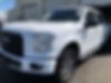 1FTEW1EPXFKD10203-2015-ford-f-150-0