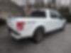 1FTEW1EP8GFA91011-2016-ford-f-150-2