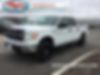 1FTEW1E82AFB34175-2010-ford-f150-0