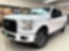 1FTEW1EP5GFC02307-2016-ford-f-150-0