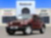 1J4BB5H15AL128323-2010-jeep-wrangler