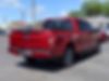 1FTEW1CP7KKF10792-2019-ford-f-150-1