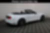1FATP8UH0K5161869-2019-ford-mustang-1