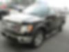 1FTFW1CT0DFC46473-2013-ford-f-150-1