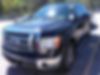 1FTFW1CF2BFD08172-2011-ford-f-150-0