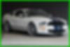 1ZVHT88S385113872-2008-ford-mustang-0