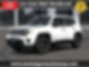 ZACNJBAB3KPK81316-2019-jeep-renegade-0