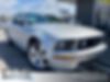 1ZVHT82HX65201828-2006-ford-mustang