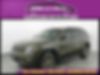 1C4RJFBG9HC641885-2017-jeep-grand-cherokee