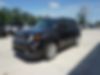 ZACNJABB8LPL46560-2020-jeep-renegade-1