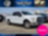 1FTEW1CP6GKE10299-2016-ford-f150-0