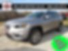 1C4PJMLX5LD607858-2020-jeep-cherokee