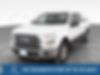 1FTEW1EP8FKE08405-2015-ford-f-150-0