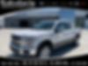 1FTEW1E43KFD33265-2019-ford-f-150-0