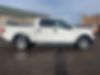 1FTFW1EF8BFD31226-2011-ford-f-150-1