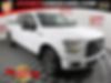 1FTEW1EP5GFC92560-2016-ford-f-150-0