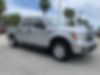 1FTEW1CMXDFD38226-2013-ford-f-150-1