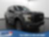 1FTEW1EGXGKF90089-2016-ford-f-150-0