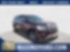 1FMJK1JT9LEA06427-2020-ford-expedition-max