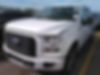 1FTEW1EP0HFA96494-2017-ford-f-150
