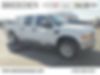 1FTSW21R99EA05469-2009-ford-f-250-0
