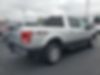 1FTEW1EF7GFD38462-2016-ford-f-150-2