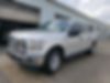 1FTEW1E87HFC60252-2017-ford-f-150-0