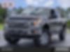1FTEW1E55JFE24769-2018-ford-f-150-0