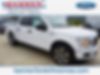 1FTEW1CP7KKD22127-2019-ford-f-150
