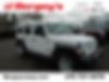 1C4HJXDNXLW272586-2020-jeep-wrangler-unlimited