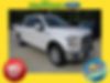 1FTEW1CP4GKD99772-2016-ford-f-150-0