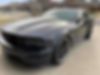 1ZVHT82H585101381-2008-ford-mustang-0