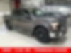 1FTEW1EFXGFA17824-2016-ford-f-150