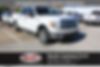 1FTFW1CT3CKD49280-2012-ford-f-150-0