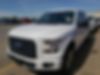 1FTEW1EP8HKC81254-2017-ford-f-150