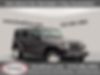 1C4BJWDG0HL608157-2017-jeep-wrangler