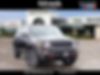ZACNJBC12LPL40992-2020-jeep-renegade