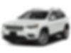 1C4PJMDX1LD603093-2020-jeep-cherokee-0