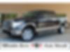 1FTFW1ET4DFB80667-2013-ford-f-150-0