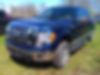 1FTEW1E87AFD37661-2010-ford-f-150