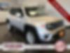 ZACNJBBB4KPK03836-2019-jeep-renegade-0