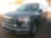 1FTEW1CP2GKF05698-2016-ford-f-150-0