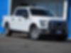 1FTEW1E81FFB58586-2015-ford-f-150-0