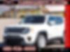 ZACNJABBXLPL13771-2020-jeep-renegade