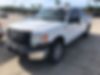 1FTEW1CW4AFB55224-2010-ford-f-150-0
