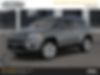 3C4NJDCBXLT204609-2020-jeep-compass
