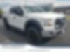 1FTEW1E82FFB15469-2015-ford-f-150-0