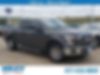 1FTEW1CP4GKF09638-2016-ford-f-150-0