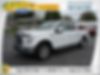 1FTEW1EF0GFB03692-2016-ford-f-150-0